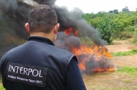 The drugs haul was destroyed by Guinea Bissau’s national authorities.